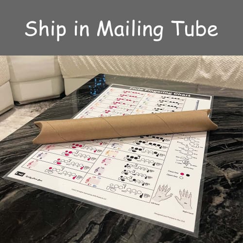 Flute Instructions, Color-Coded Notebook, Flute Technique, All Levels, Made in the USA