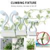 10/50PCS Invisible Plants Holder Climbing Greenhouse Bracket Rattan Clamp Wall Vines Plant Clip