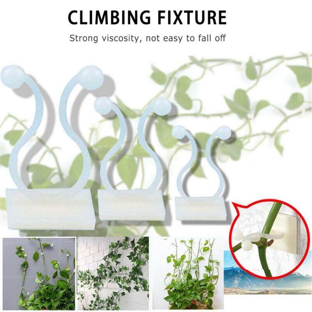 10/50PCS Invisible Plants Holder Climbing Greenhouse Bracket Rattan Clamp Wall Vines Plant Clip