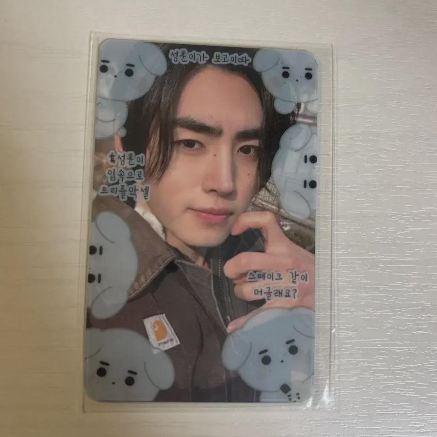 Enhypen Nhyfen Sunghoon Sunghoon Fate Plus Photocard Sleeve