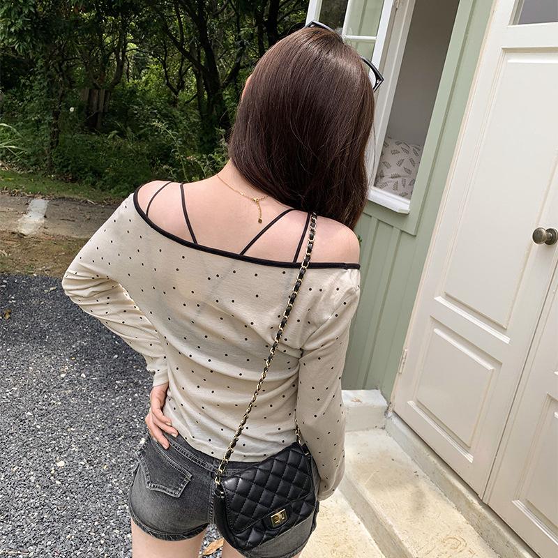 Mesh polka dot slim fit slightly see-through sexy long-sleeved T-shirt for women in summer niche versatile short pure desire bottoming shirt top