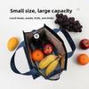 Cartoon Style Insulated Lunch Bag With Oxford Fabric Cool Keep For School And Work