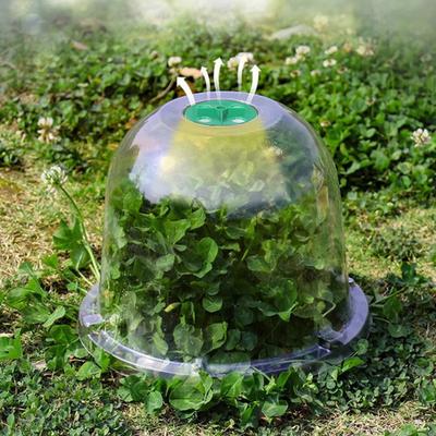Campana per Piante Copertura per Propagazione Riutilizzabile Campana da Giardino Trasparente Cappello per Piante per Protezione dal Gelo Protezione Lumache