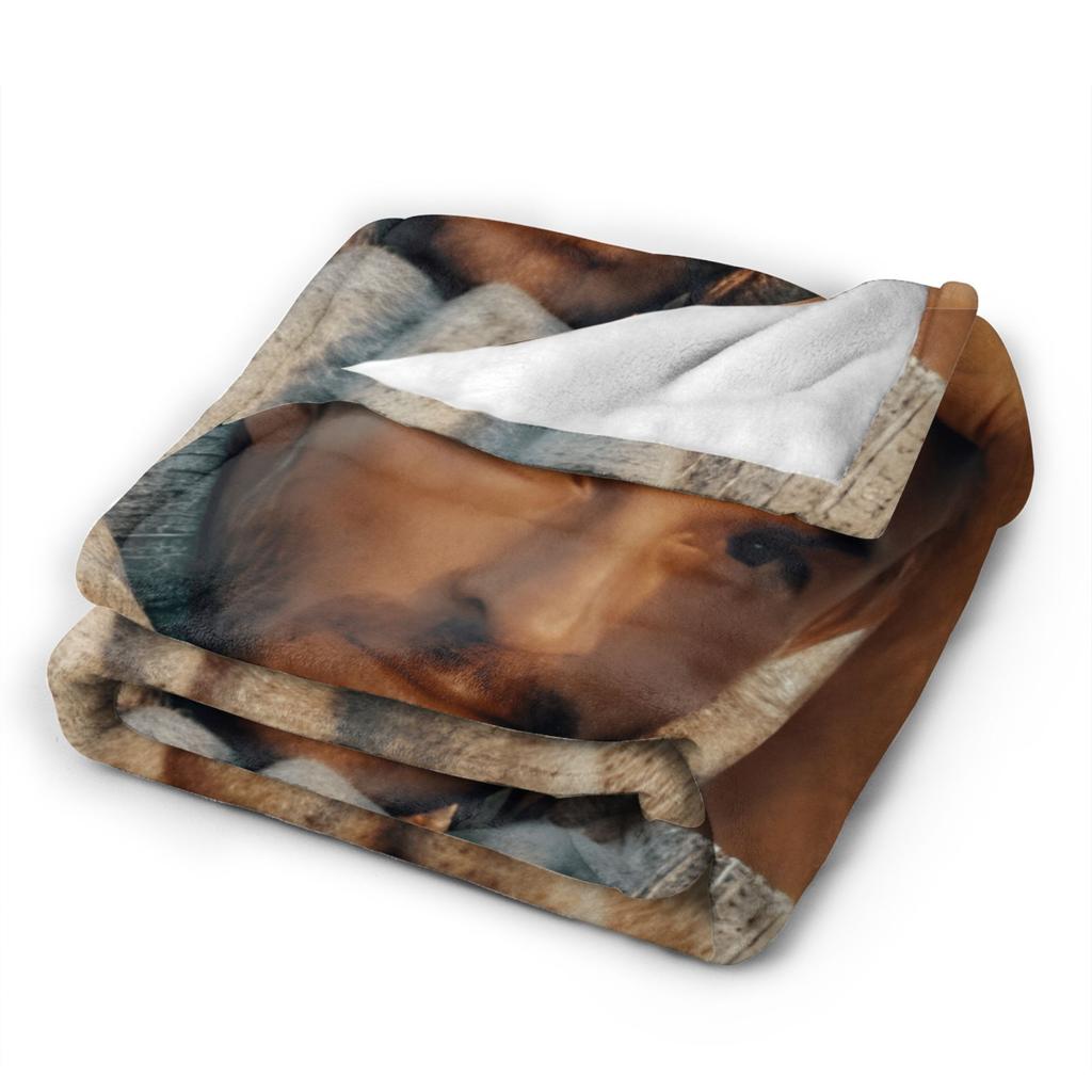 Super Warm Blanket Students Travel Jonathan Bailey Bedding Throws Flannel Bedspread For Outdoor Pattern Sofa Bed Cover