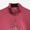 Puma Logo Print Fleece Stand Collar Knitted Sweatshirt Men Sweatshirt Red 689596-15