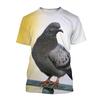 Magliette 3D con Stampa di Piccioni Animali Uccelli Moda Uomo Donna Manica Corta Streetwear Magliette Oversize Abbigliamento