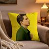 Hot Singer CCharlie PuthS Pillow Case Soft Plush Cushion Cover Double Print and Invisible Zipper for Sofa Home Car Use