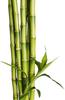 Bamboo Bathroom Cabinet With Countertop, Standing With Shelves, 81X65X31Cm
