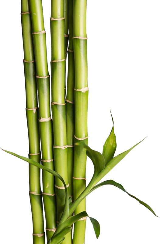 Bamboo Bathroom Cabinet With Countertop, Standing With Shelves, 81X65X31Cm