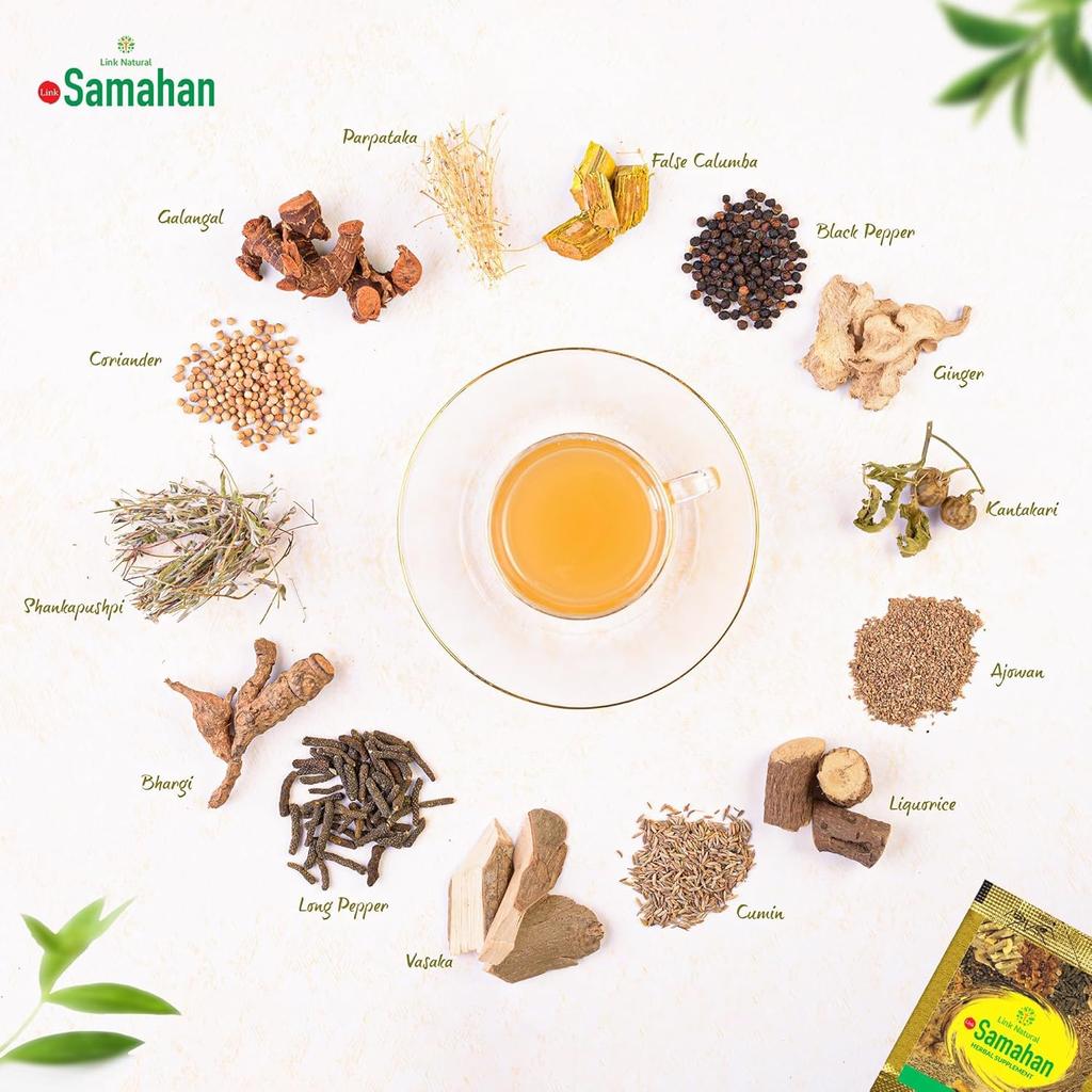 Link Natural Samahan Herbal Tea Bags 100 Count 4gm Each, Immune Support Wellness, Ceylon Spice Infusion For Cold Relief