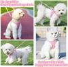 Dog Harness Leash Set for Small Dogs Adjustable Puppy Cat Harness Vest French Bulldog Chihuahua Pug Outdoor Walking Lead Leash