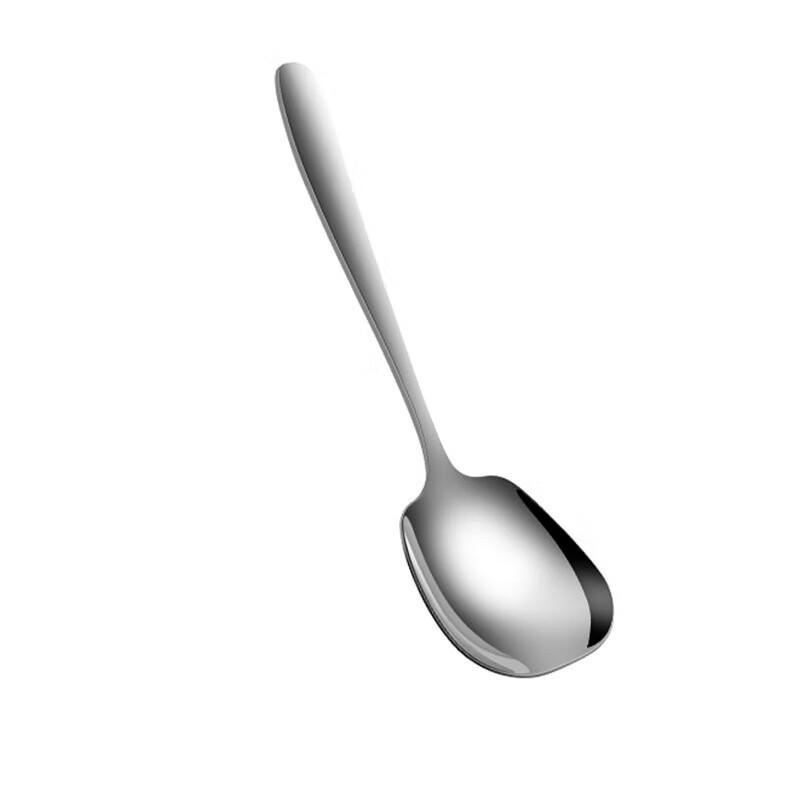 Churong 304 Stainless Steel Korean Style Spoon