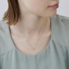 Official Platinum Diamond Birthday Gift for Comes with Jewelry 152343125002 [CANAL 4℃] Necklace, Women, Case,