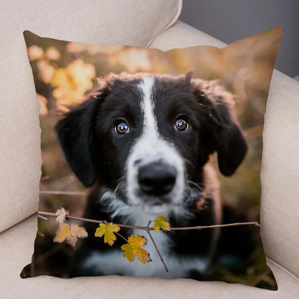 Cute Pet Animal  Cushion Cover Scotland Border Collie Pillowcase for Sofa Car Decor Dog Printed Soft Plush Pillow Case
