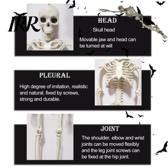 Durable Skeleton Model for Cemetery Theme Halloween Decoration, 3Ft Life Size Full Body Human Bone, Realistic Posable Party Decorations with