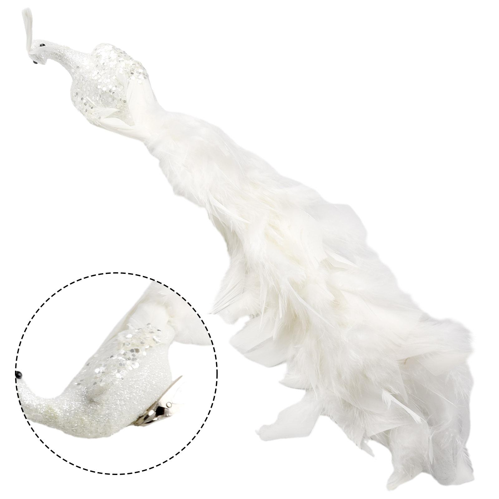 

Peacock Simulated White Peacock Decoration Decorations Natural Peacock Feather 33g And Other Decorative Scenes China Mainland