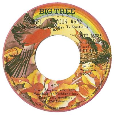 7inch Record HOT - Angel In Your Arms BTS16085 Big Tree Record 1976 Canada Soul/Funk Used