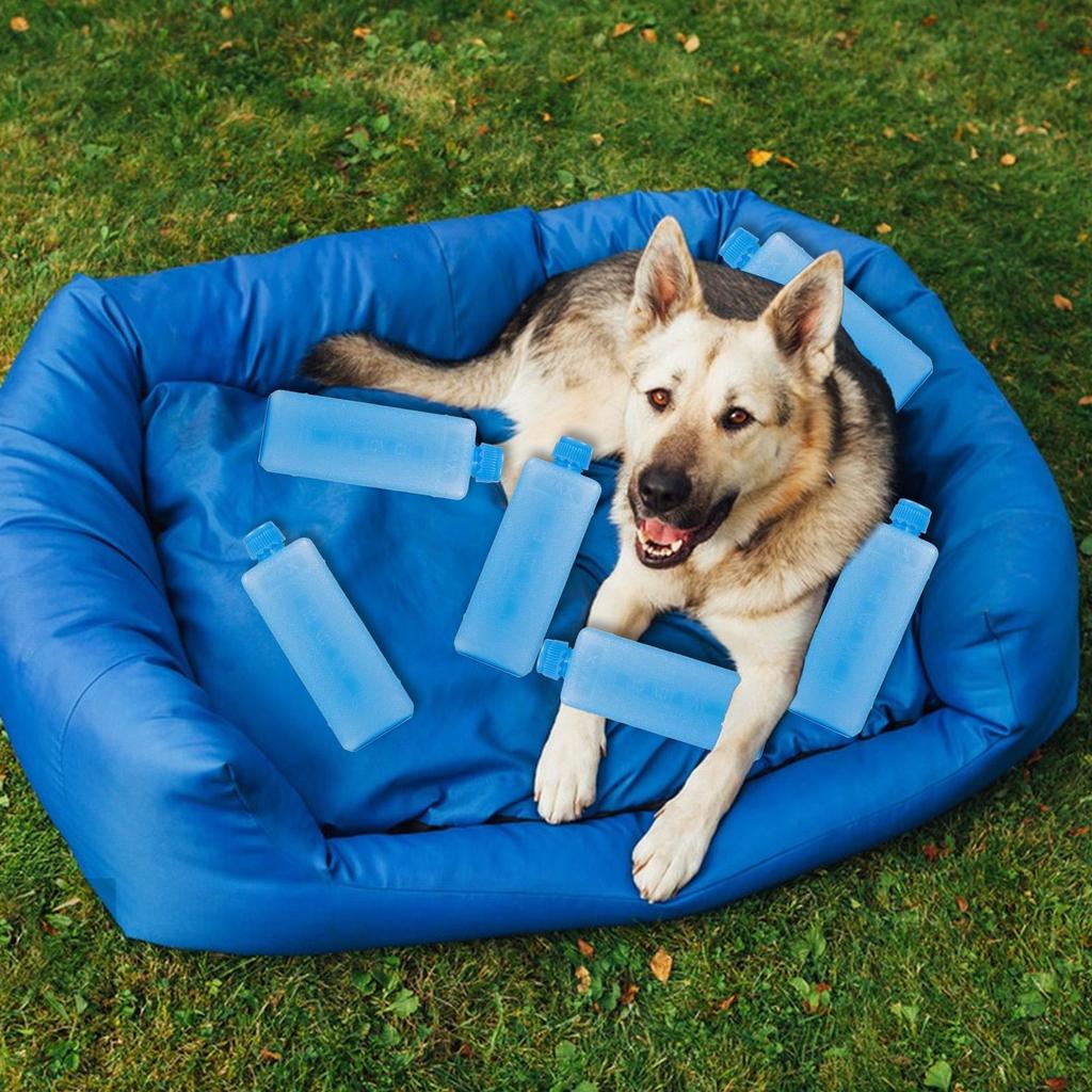 8 Stück Wiederverwendbare Eisbox PE Eiskristallbox Kühlung Frischhalten Picknick Kühlbox Langlebig Klimaanlagenventilator Eiskristallbox