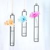 Thickened Hanging Glass Planter Wall Hanging Glass Vase Creative Test Tube Vases  Home Decoration