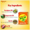 Baidyanath Balm 8ml Pack of 5 | Fast Absorbing Pain Relief for Headache, Bodyache, Cold, Muscle and Joint Care