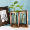 Hydroponic Test Tube Glass Vase: Creative 3D Ornament for Living Room Flower Arrangements - Simple Desktop Decoration