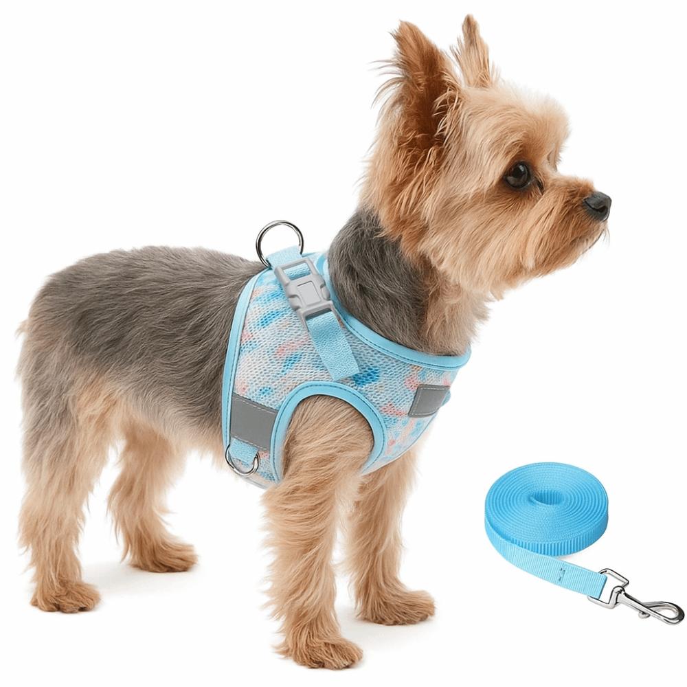 Breathable Pet Vest Style Harness Adjustable Pet Chest Strap Dog Harness Leash Set  Chihuahua