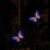 Outdoor Solar Garden Stake Lamp Flowing LED Butterfly Light 6-8H Fast Charge 8H Runtime for Lawn Pathway Yard Patio Decor