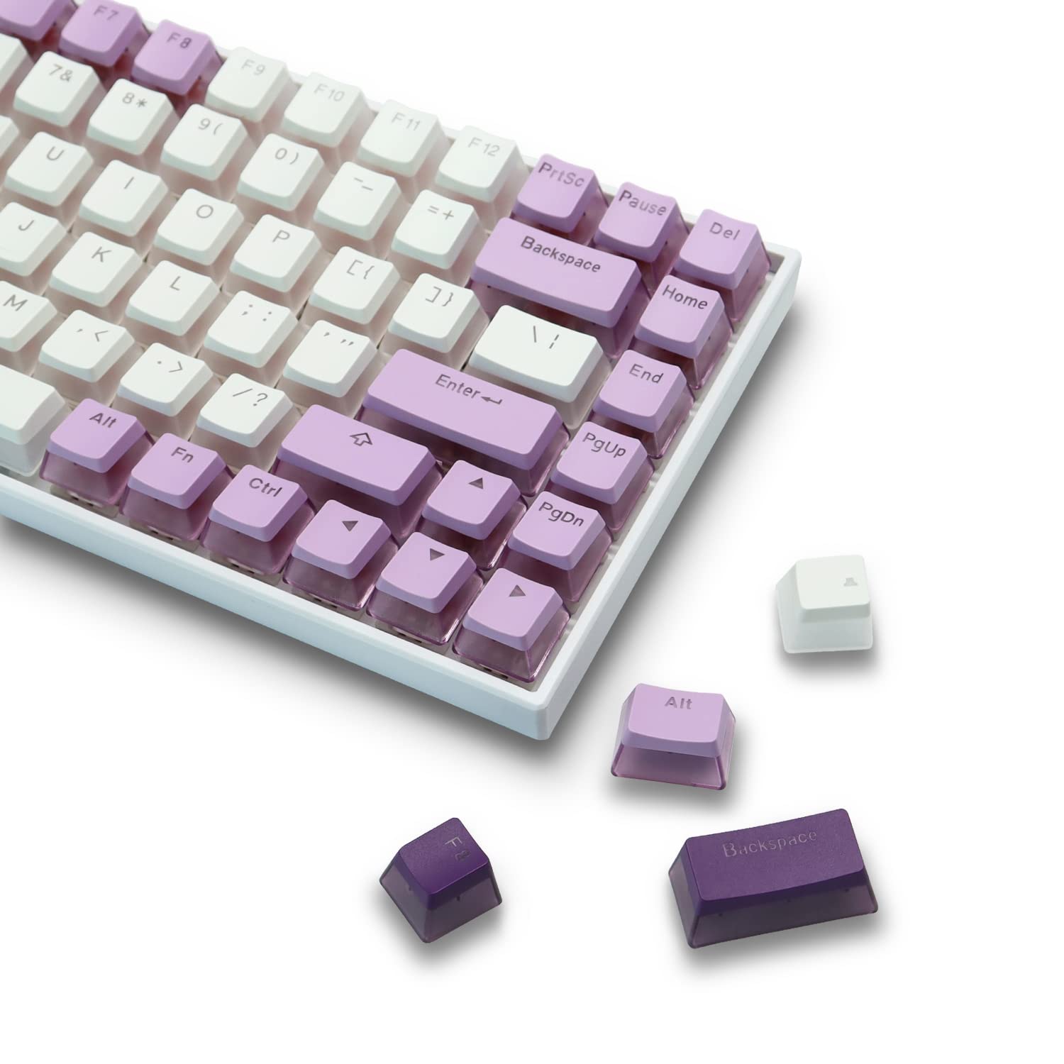 

XVX Keycaps, 165-Key Print Keycaps, PBT Transparent Keycaps for Cherry MX Gateron Switch Keyboards, OEM Profile Keycaps (PurpleWhite)