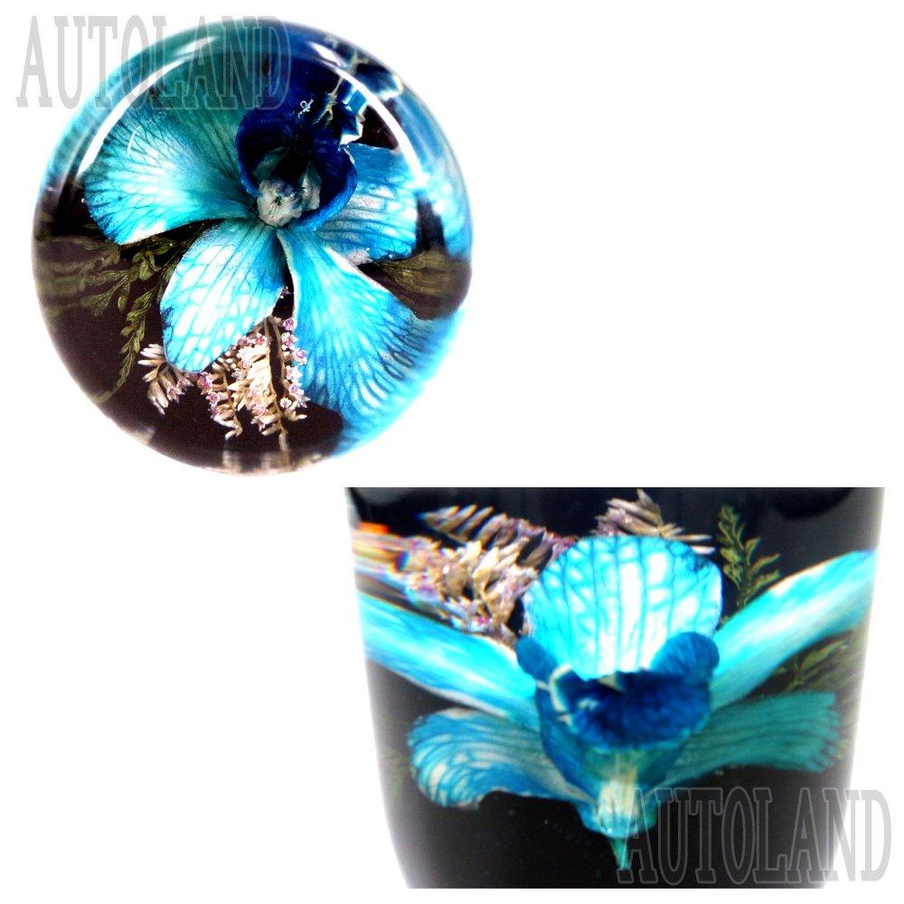 Autoland Underwater Flower Shift Knob Blue Real Orchid Flower Artwork 3.5 inches (90 mm)