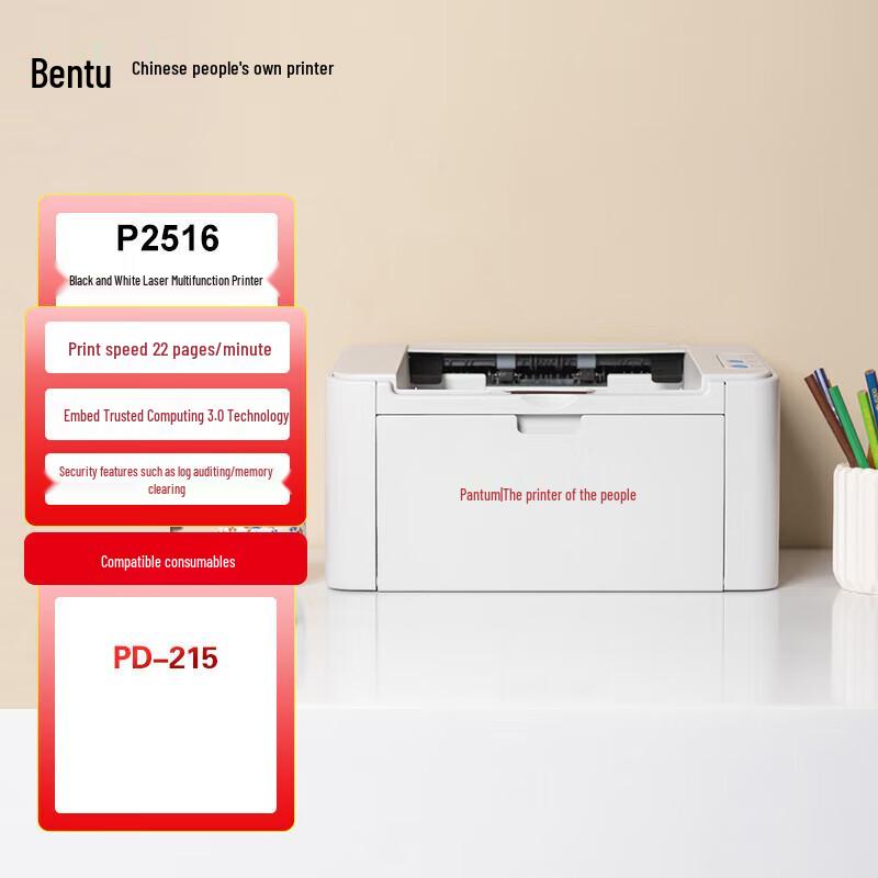 

Pantum P2516 A4 Black and White Laser Printer CN plug (adapter included)