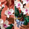 LEGO Botanical Orchid Building Toy 10311 Decorative Flower Arrangement for Home Interior Gift for Men and Women