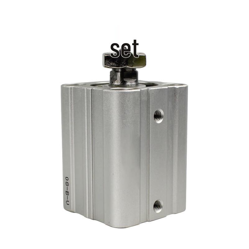 Lan Tuan ACQ Series Pneumatic Cylinder