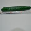Lifelikes Artificial Cucumbers Simulations Fake Vegetable Photo Props Kitchen Decorations Kids Teaching Toy