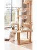 Raumkapsel Katzenbaum: Multifunktionaler Kratzbaum & Bett mit Doppelkammer, Geeignet für große & kleine Katzen