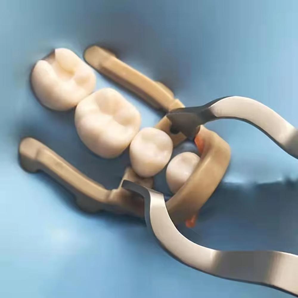 Morsetto per Diga Dentale Nigf Estensione Distale Premolare Clip Barriera in Gomma Morsetto per Resina Strumenti per la Riparazione di Denti Lunghi Corti