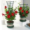 Compact And Lightweight Indoor Plants Plant Support Trellis Corrosion-Resistant