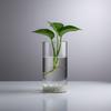 Borosilicate Glass Vase For Hydroponic Plants Straight Cylinder Design Indoor Desktop Decoration