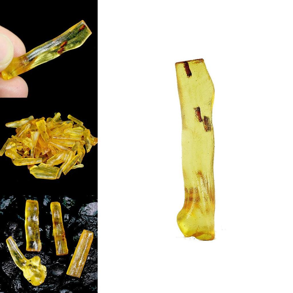 Natural Insect Amber Mineral Crystal For Unique Geological Specimens Collection**