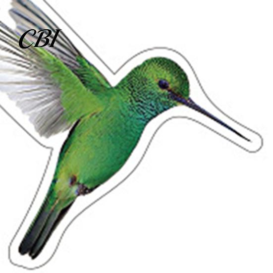 Window Decal For Birds 12Pcs Bird Clings, Protection Decals, Removable PVC Anti-Collision Stickers Peel And Stick Sticker for Glass Doors Windows,