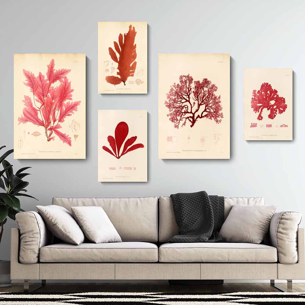 Nordic Retro Art Plant Evolution Popular Science Demonstration Canvas Painting Living Room Corridor Poster Home Decoration Mural No Frame