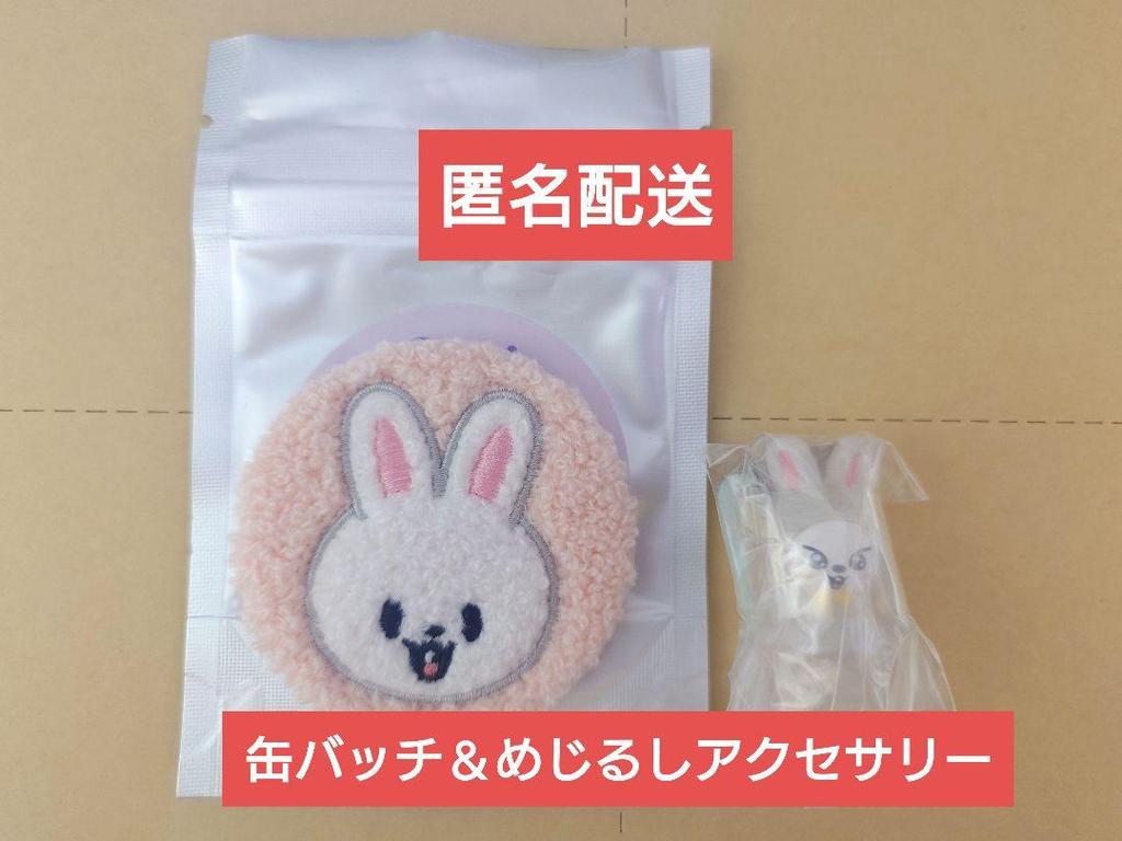 [USED] SKZOO Levitt Can Badge, Sign Accessory, SKZ Reno Can Badge