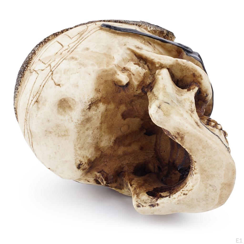Resin 3'' Skull Figurine Office Statue Funny Ornaments Small Decoration