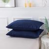 2 Pack Microfiber Pillow Cases Soft Envelope Closure Wrinkle Resistant Washable Pillow Covers