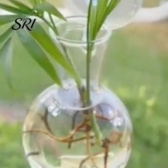 Wide Mouth Vase 2 Pcs Wall Hanging Terrariums Planter for Hydroponics Plants Clear Propagation Refrigerator Mounted Station Flower Home Office Living
