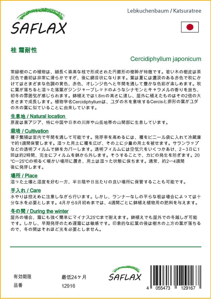 SAFLAX Katsuratree - 200 semen - Cercidiphyllum japonicum