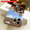 Cat and Hamster in Cardboard Box Sky View All inclusive film hard phone case, compatible with iPhone 18 Pro Max 17 16 15 14 13 12 11