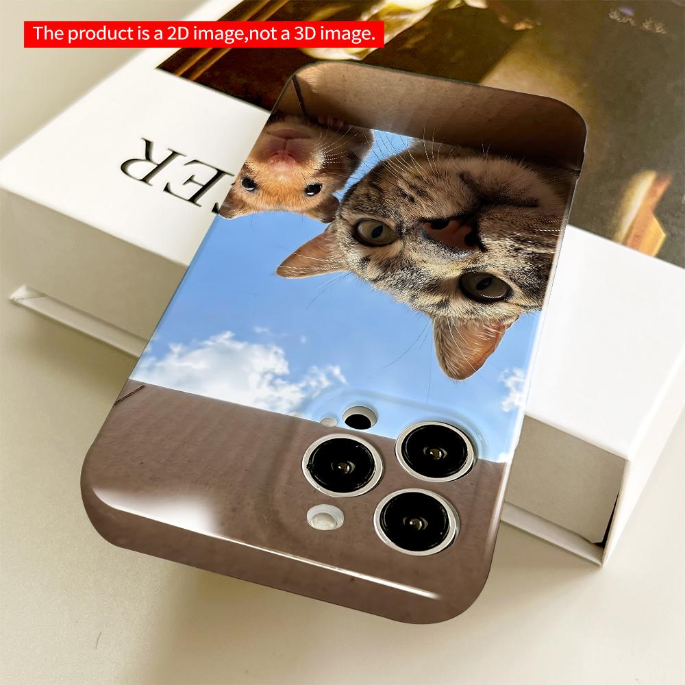 Cat and Hamster in Cardboard Box Sky View All inclusive film hard phone case, compatible with iPhone 18 Pro Max 17 16 15 14 13 12 11
