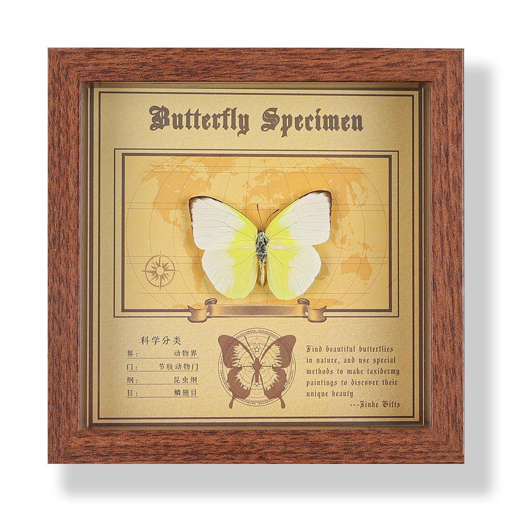 Real butterfly specimen photo frame, decorative painting, 3D ornament, handmade DIY, birthday gift, insect specimen