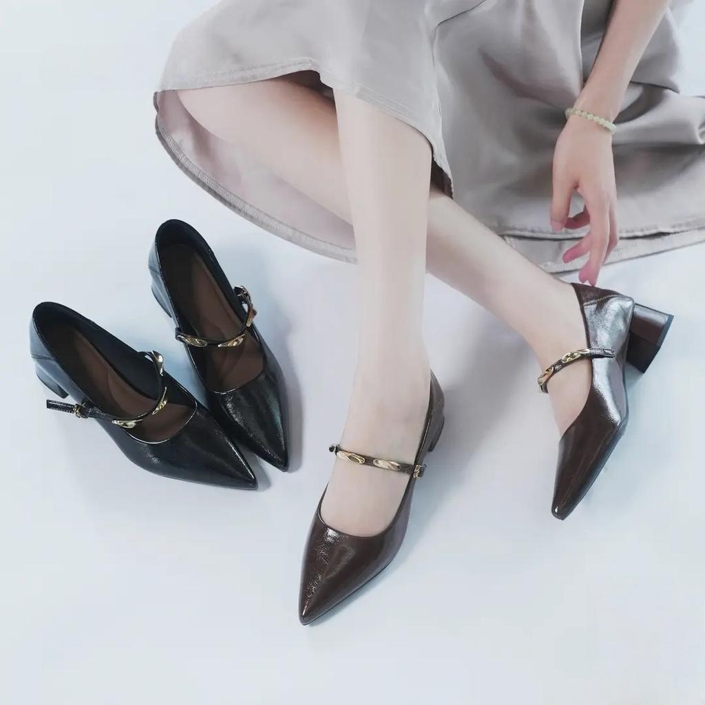 Pointed Single Shoes Women's 2025 Autumn New Mid-heel Thick Heel Shoes French Retro Fashion Versatile Mary Jane Small Leather Shoes