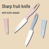 5-Piece Stainless Steel Multifunctional Fruit Knife Set with Peeler